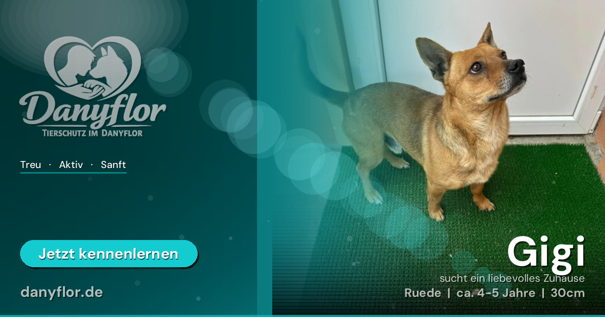 Facebook-Bild für Gigi