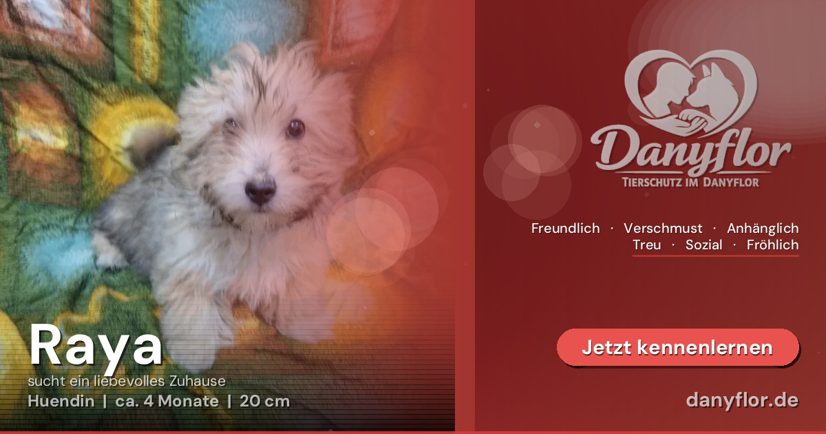 Facebook-Bild für Raya