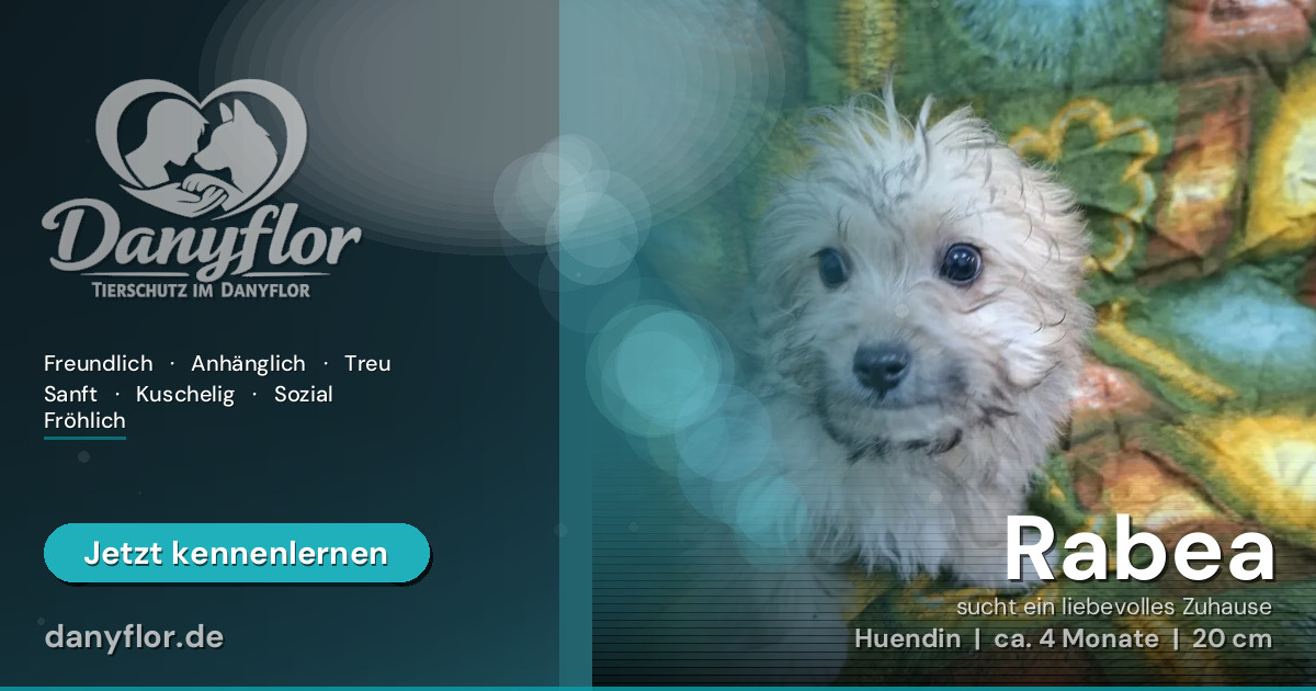 Facebook-Bild für Rabea