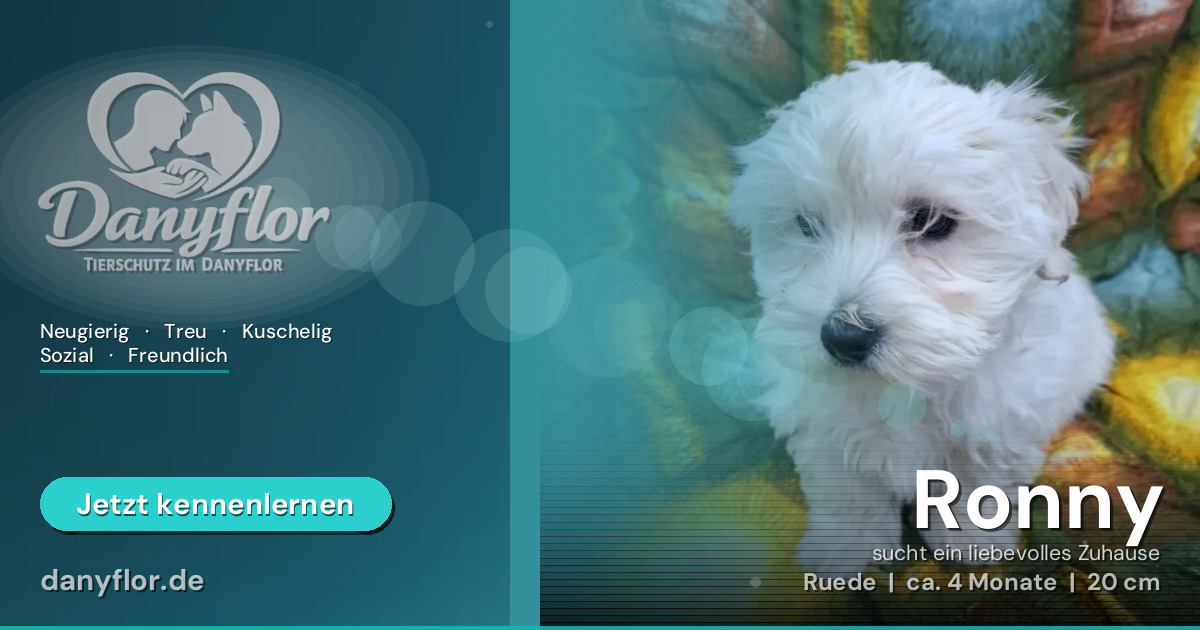 Facebook-Bild für Ronny