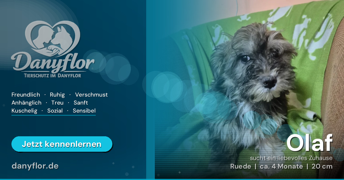 Facebook-Bild für Olaf