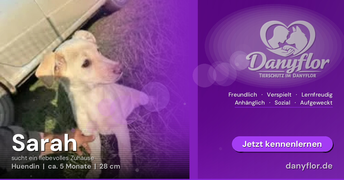 Facebook-Bild für Sarah