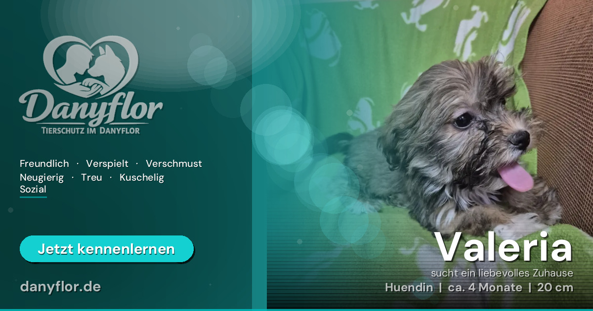 Facebook-Bild für Valeria