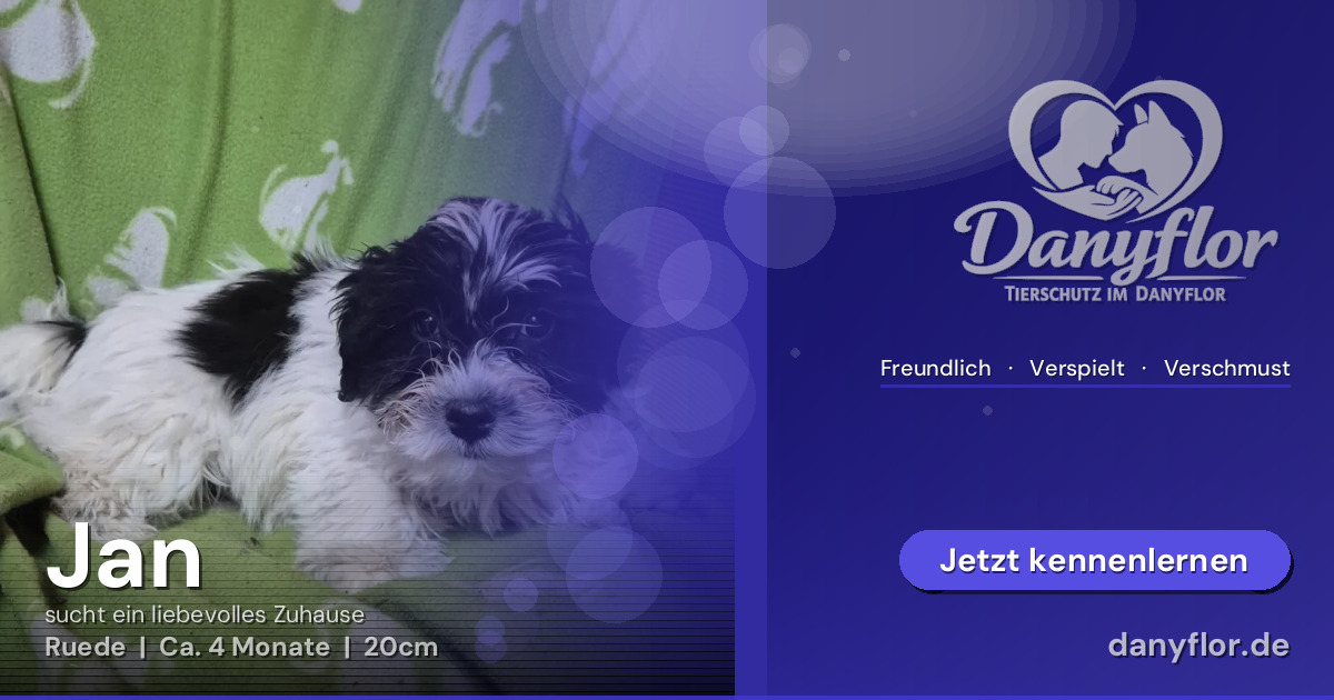 Facebook-Bild für Jan