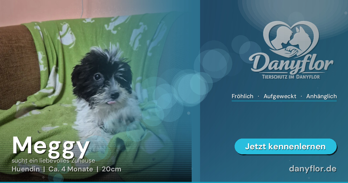 Facebook-Bild für Meggy