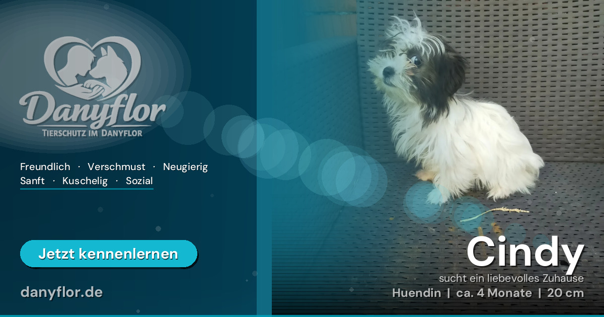 Facebook-Bild für Cindy