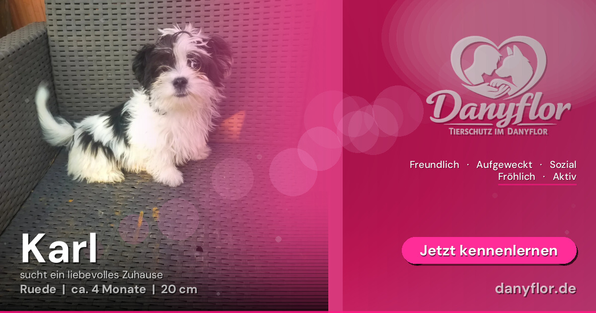 Facebook-Bild für Karl