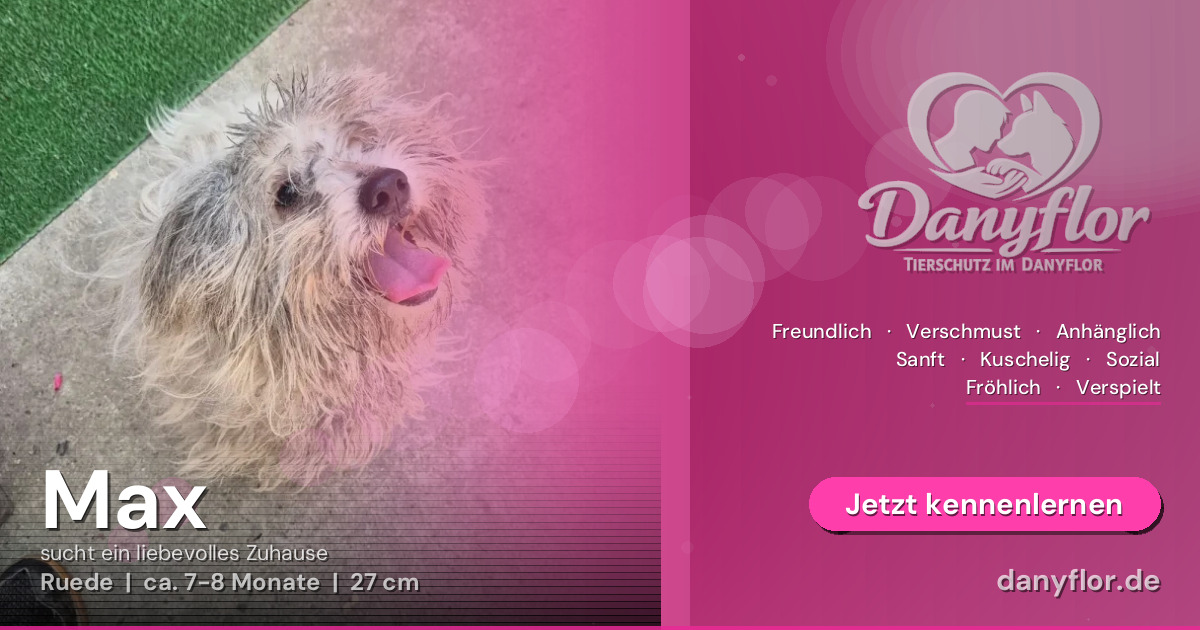 Facebook-Bild für Max