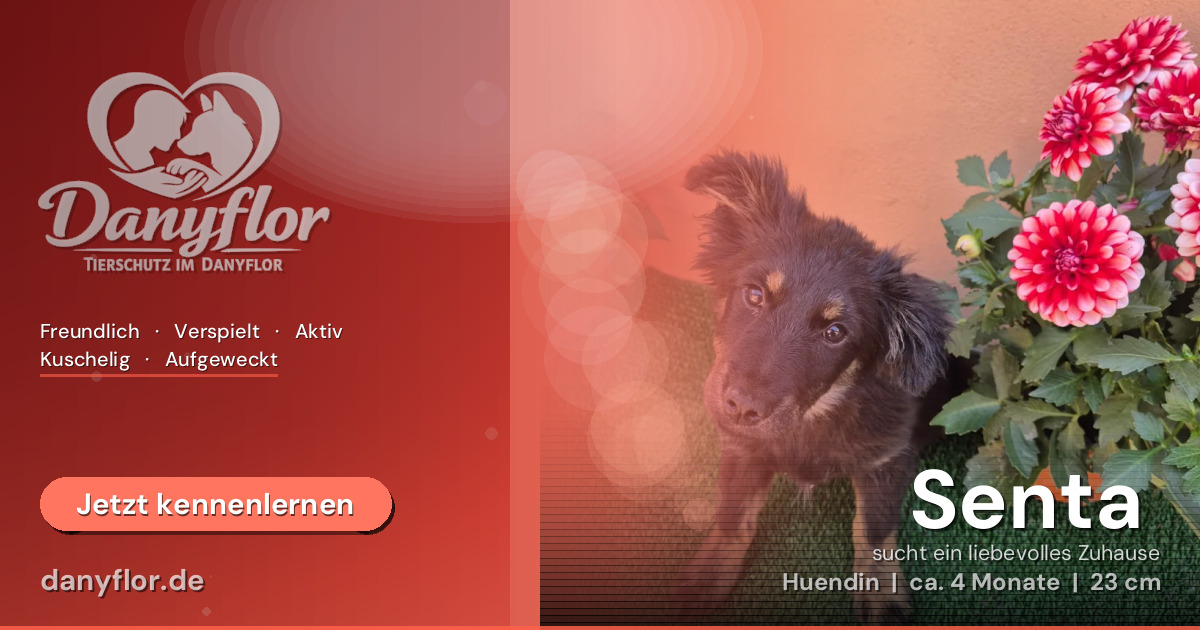 Facebook-Bild für Senta 