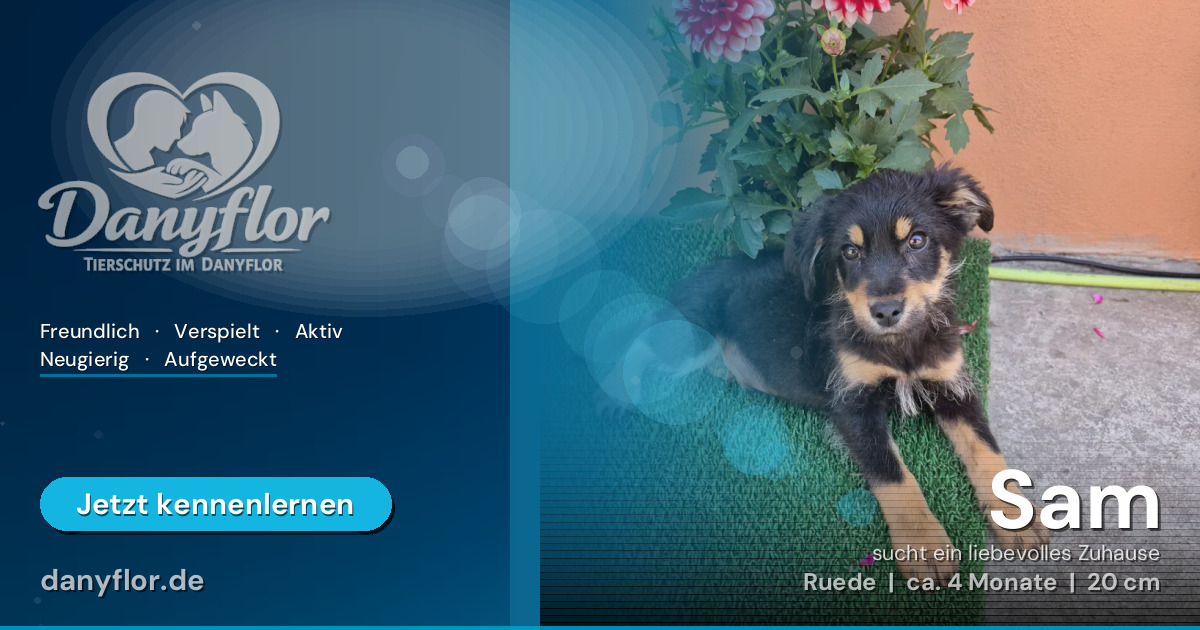 Facebook-Bild für Sam