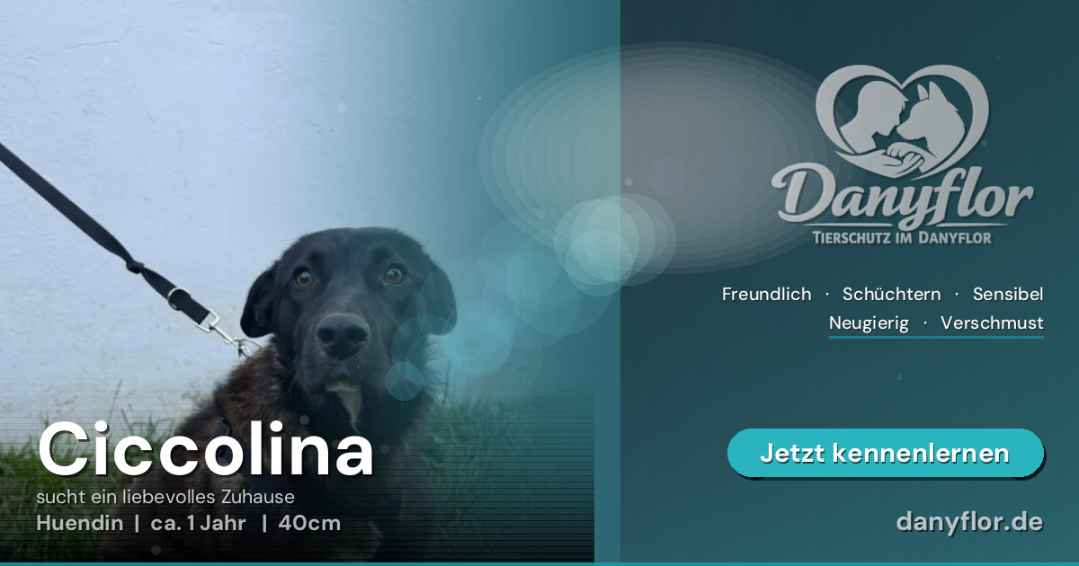 Facebook-Bild für Ciccolina