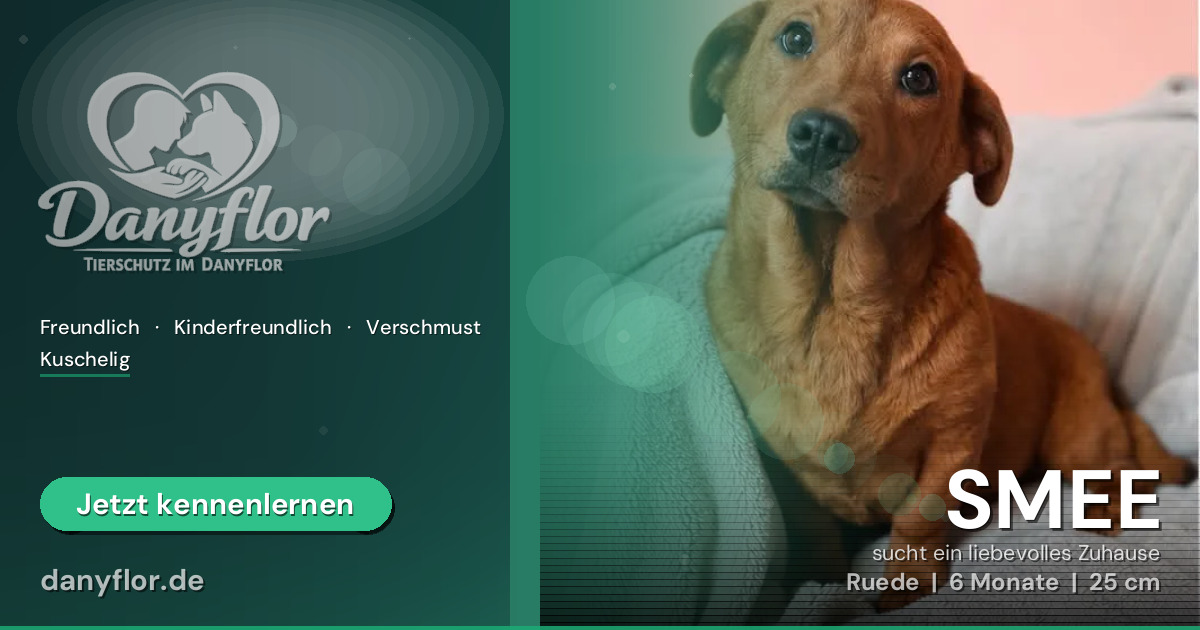 Facebook-Bild für SMEE