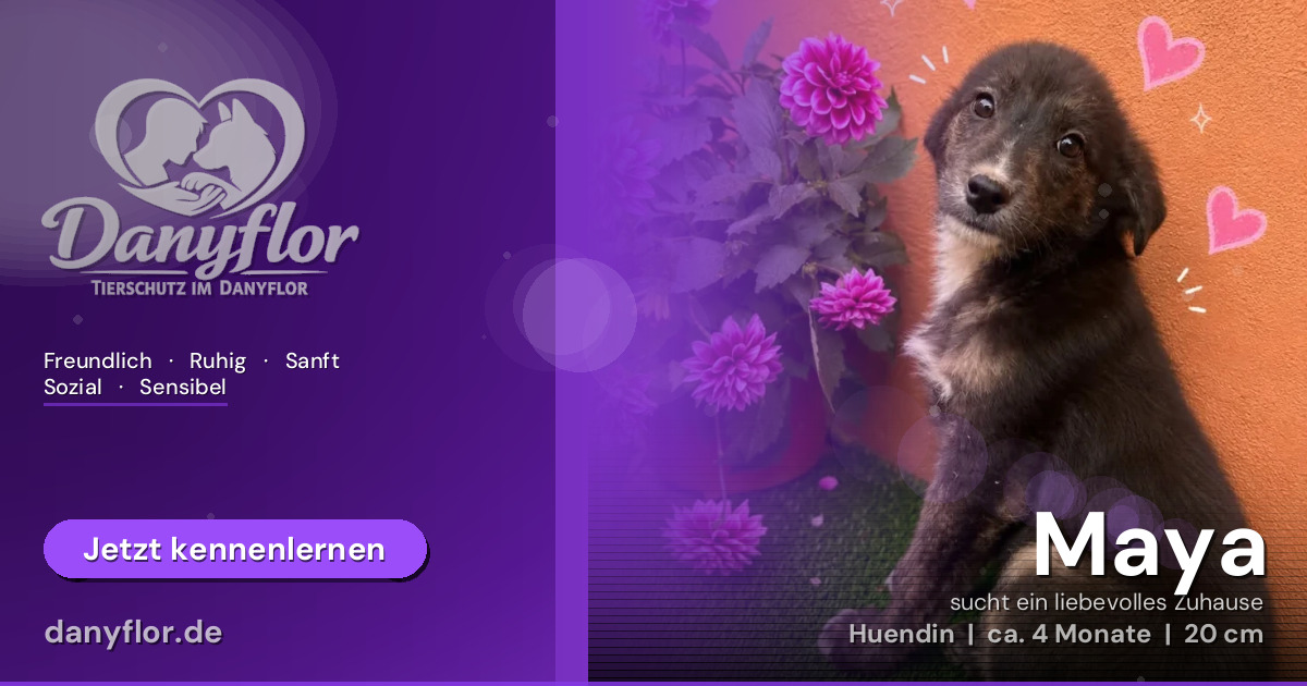 Facebook-Bild für Maya
