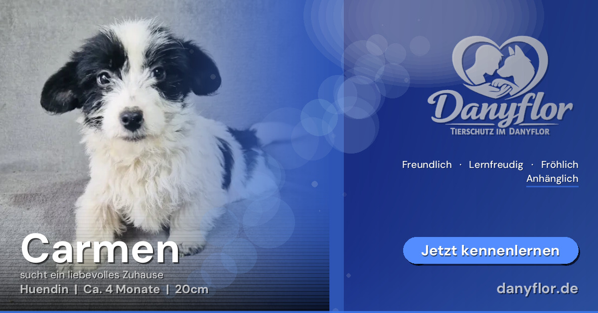 Facebook-Bild für Carmen