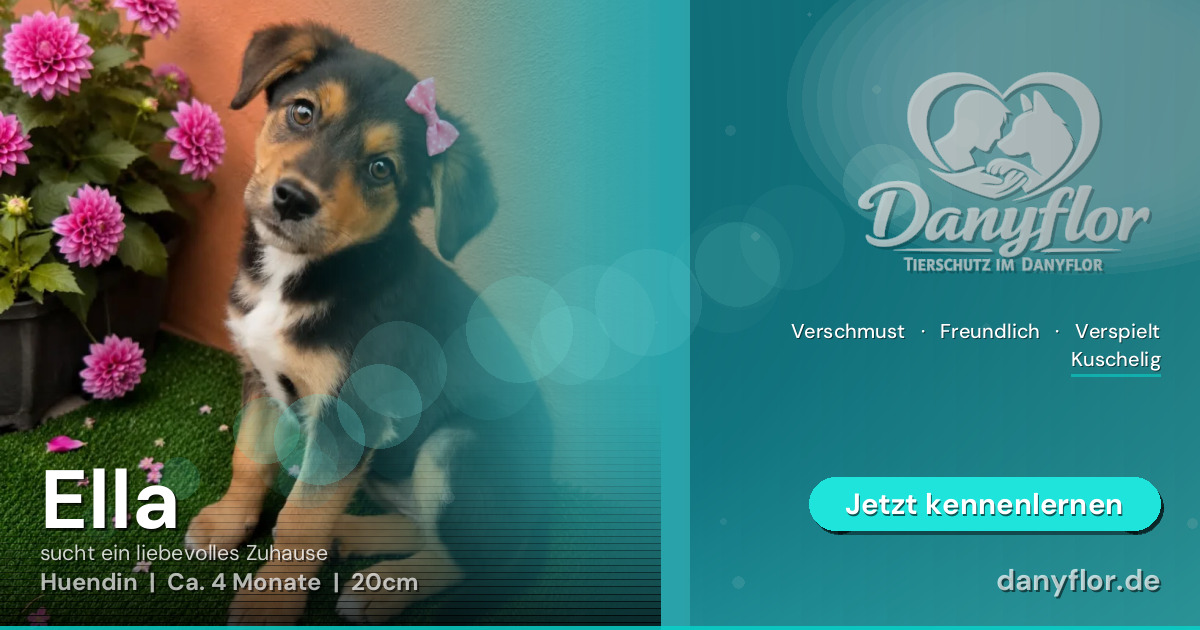 Facebook-Bild für Ella