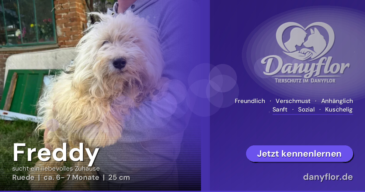 Facebook-Bild für Freddy