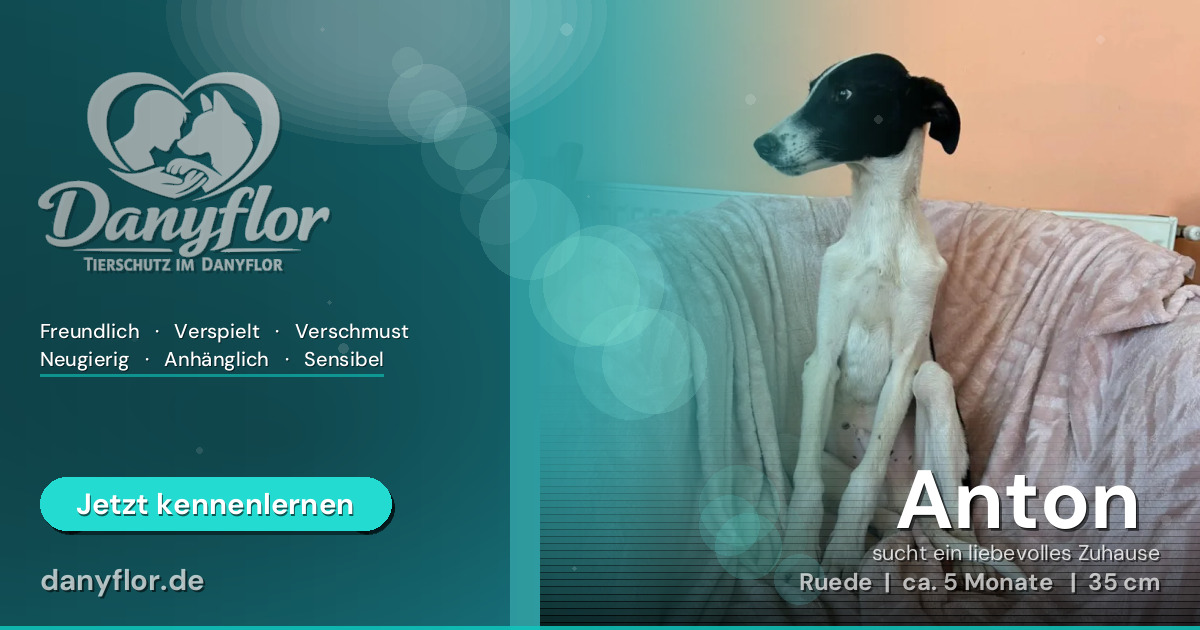 Facebook-Bild für Anton 