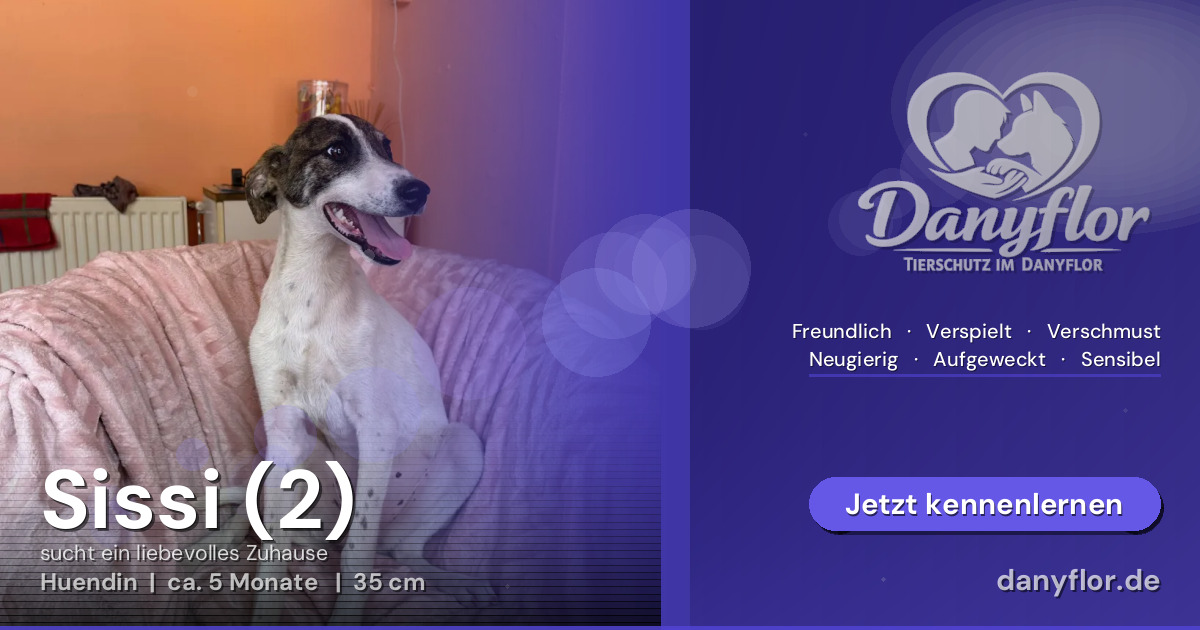 Facebook-Bild für Sissi (2)