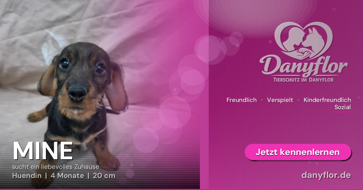 Facebook-Bild für MINE