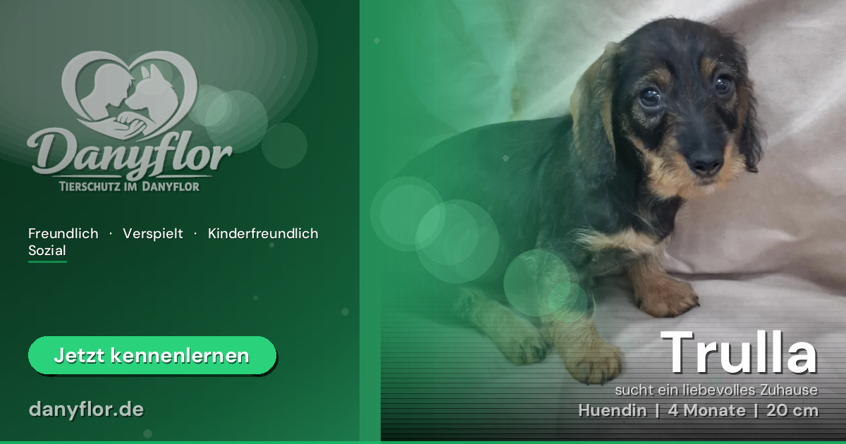 Facebook-Bild für Trulla