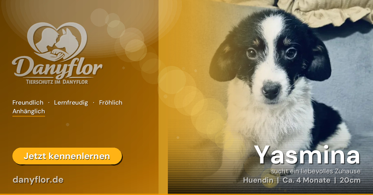 Facebook-Bild für Yasmina