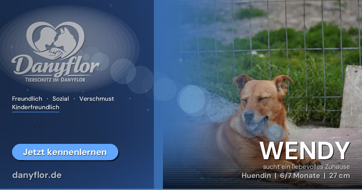 Facebook-Bild für WENDY