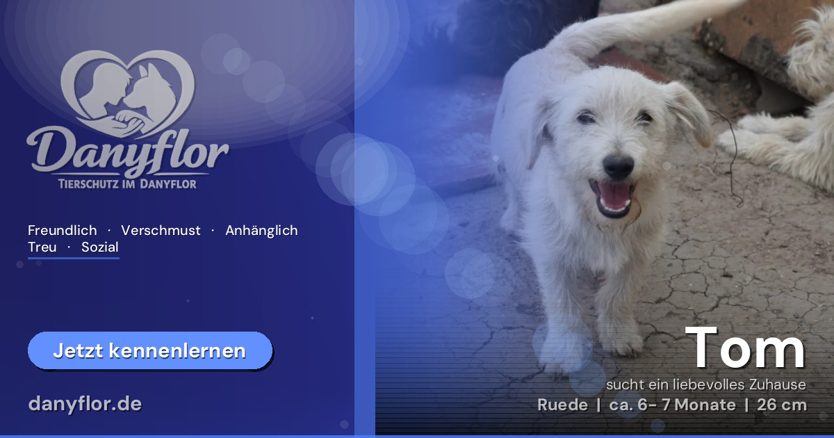 Facebook-Bild für Tom