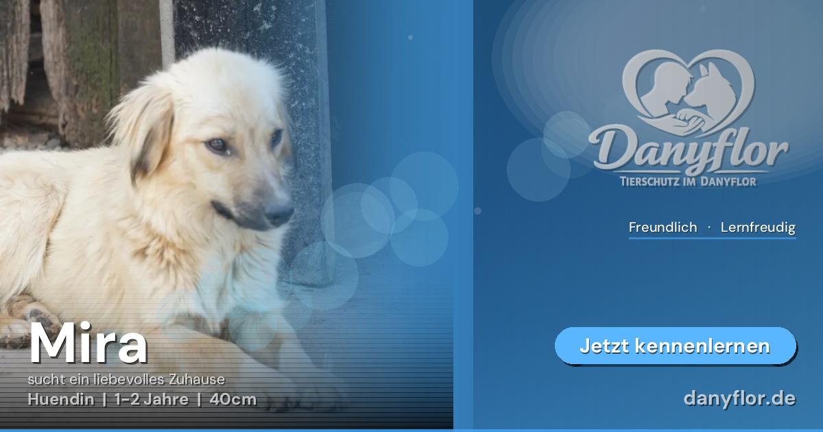 Facebook-Bild für Mira