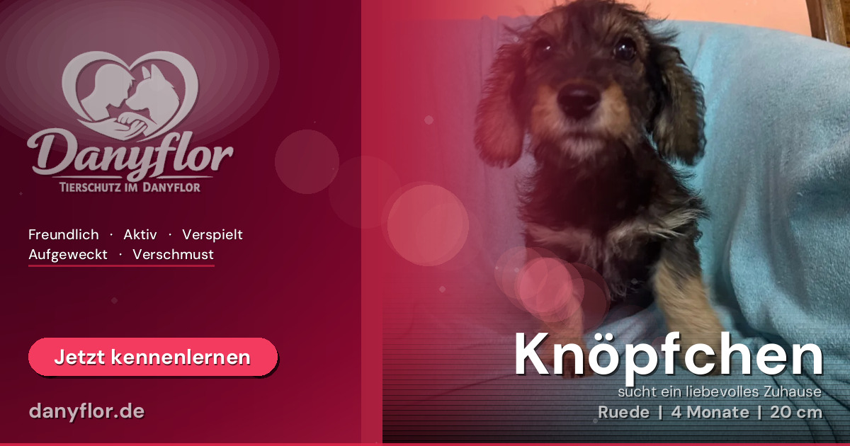 Facebook-Bild für Knöpfchen