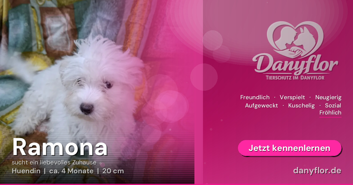 Facebook-Bild für Ramona