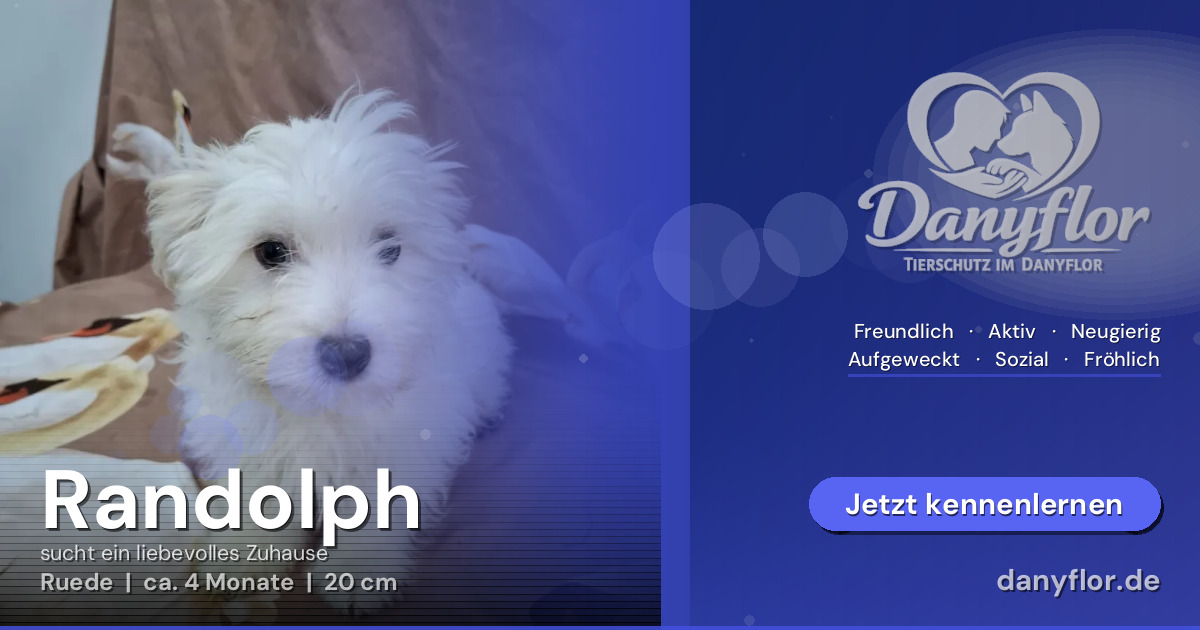 Facebook-Bild für Randolph