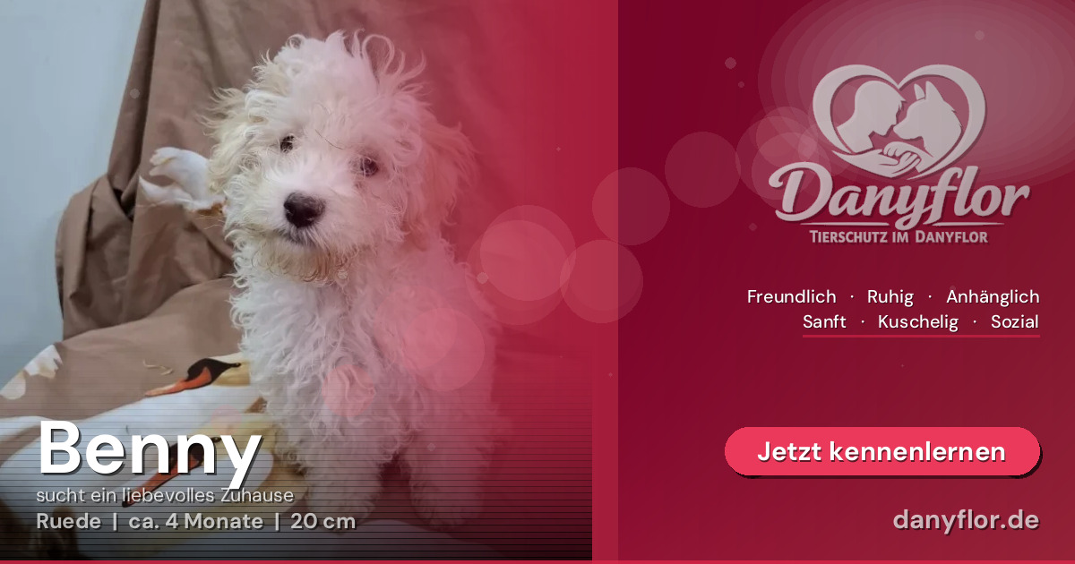 Facebook-Bild für Benny