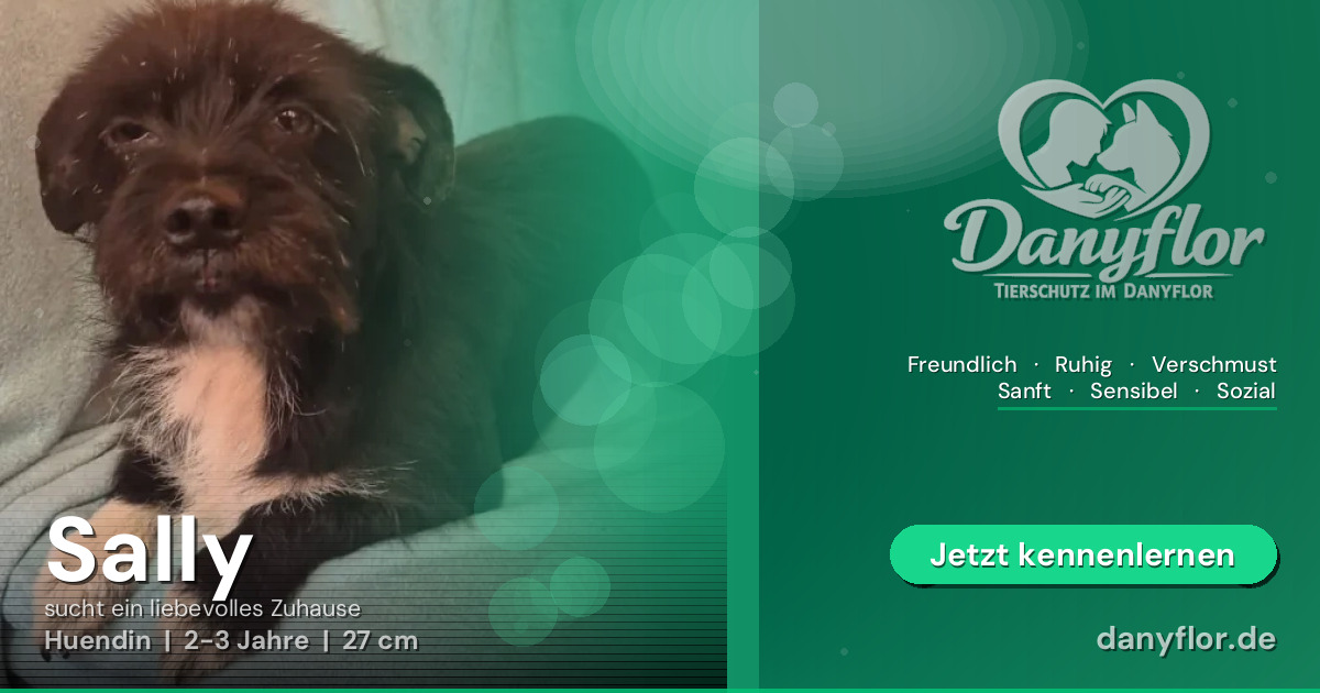 Facebook-Bild für Sally