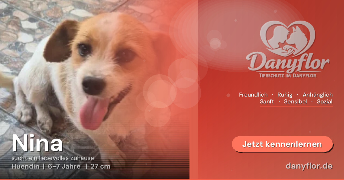 Facebook-Bild für Nina 