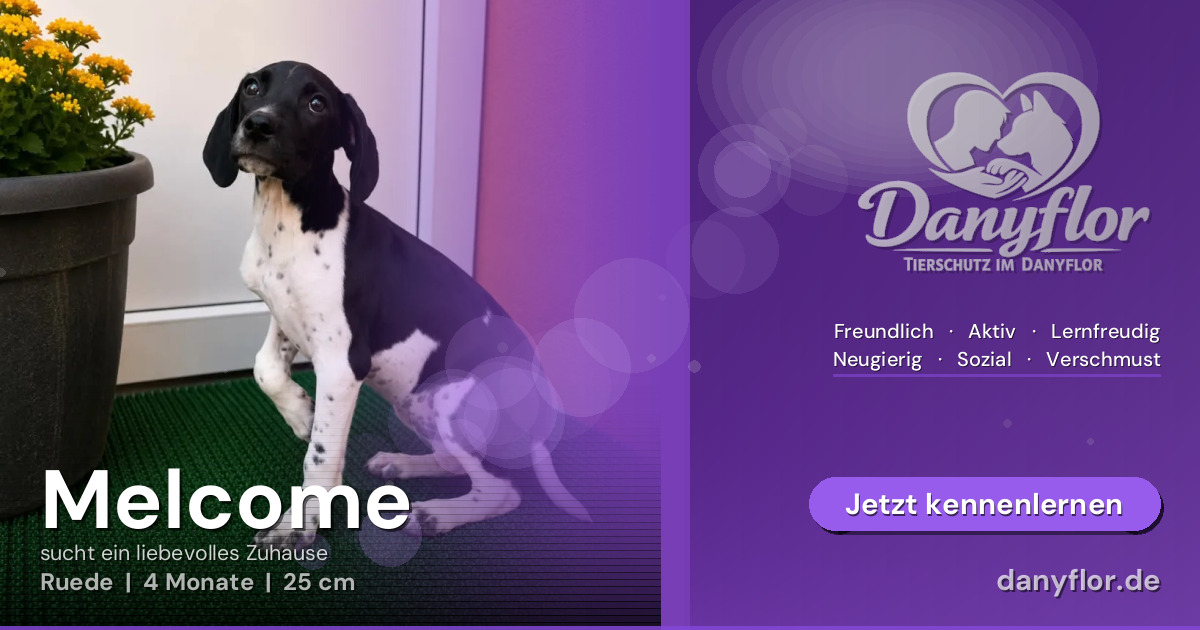 Facebook-Bild für Melcome