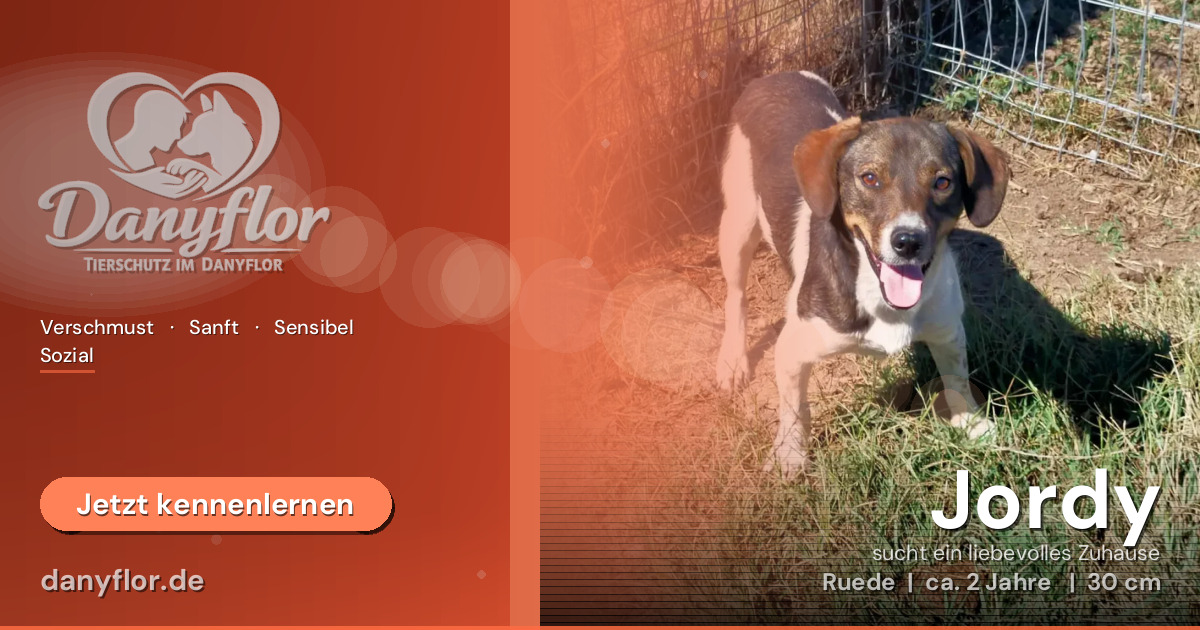 Facebook-Bild für Jordy