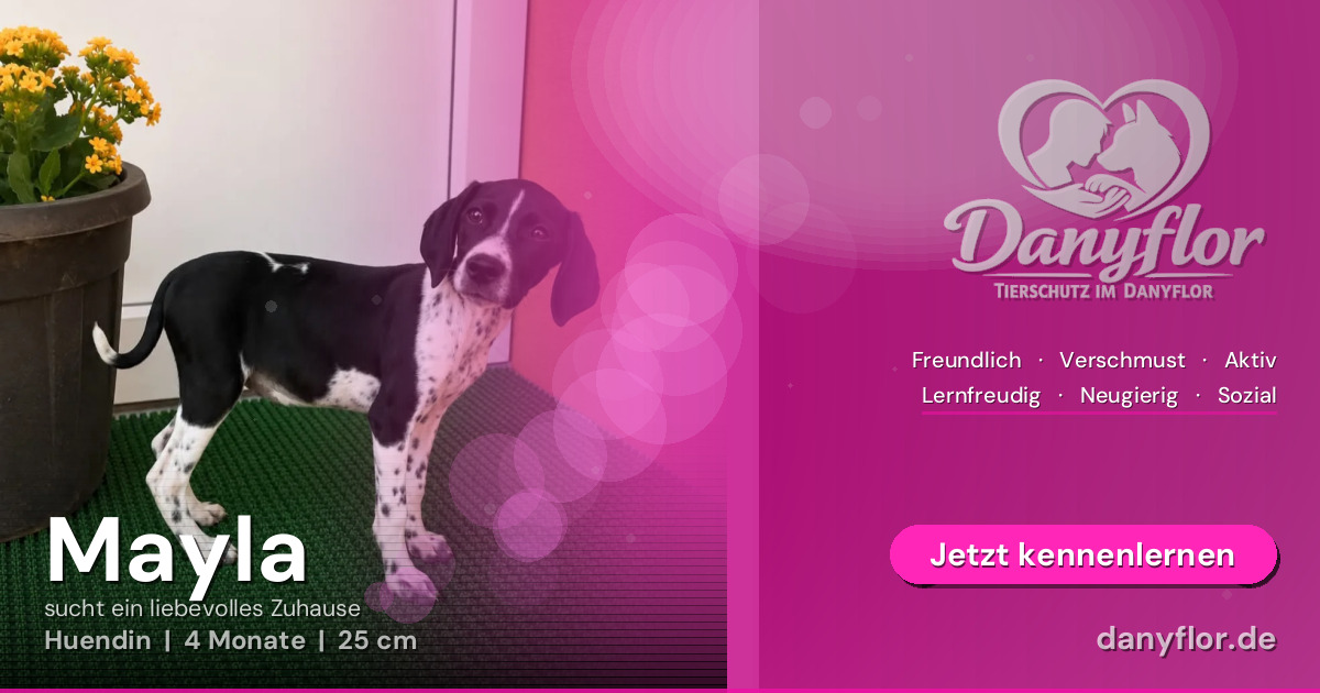 Facebook-Bild für Mayla