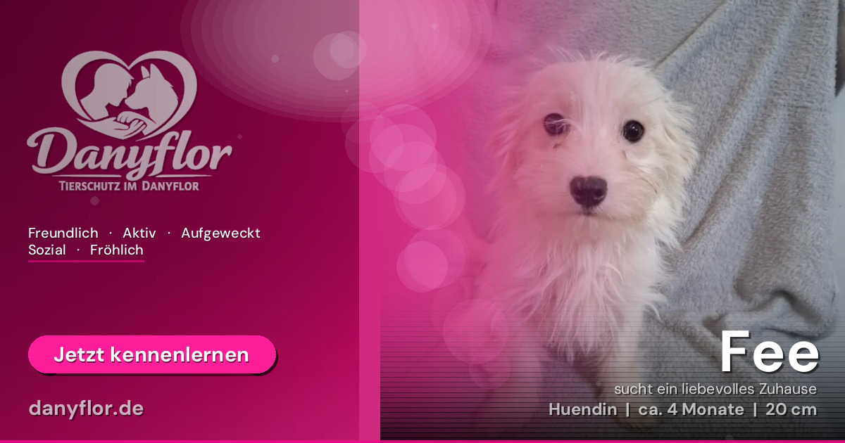 Facebook-Bild für Fee