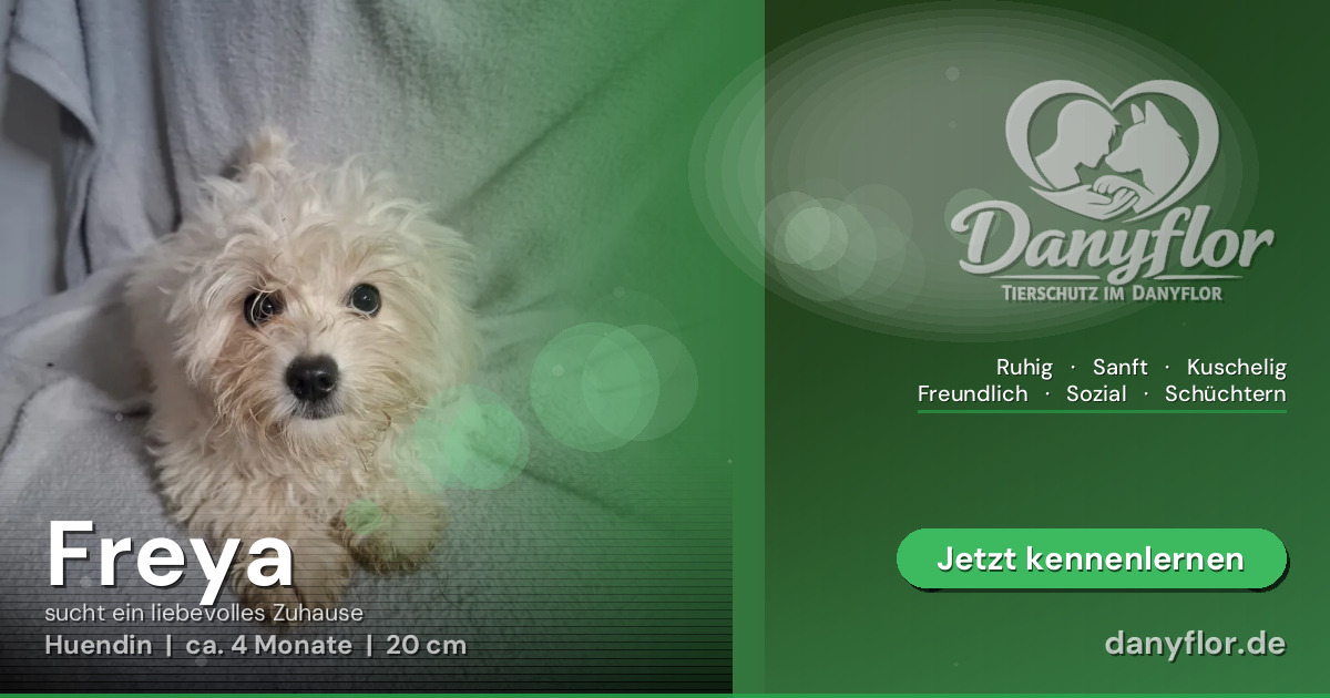 Facebook-Bild für Freya