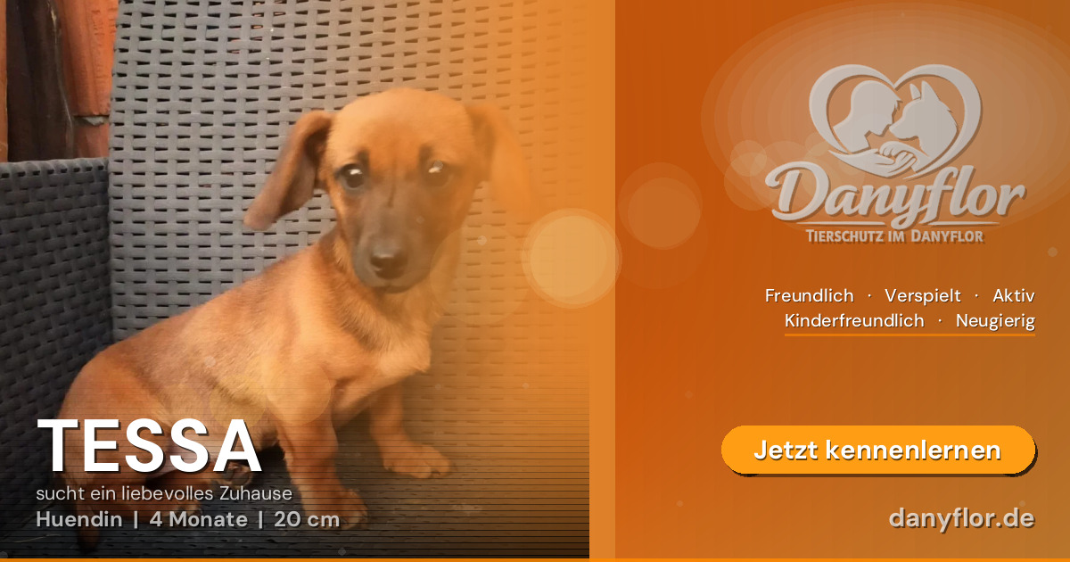 Facebook-Bild für TESSA