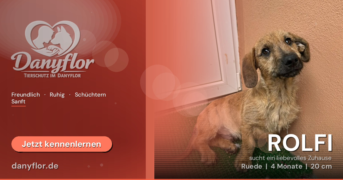 Facebook-Bild für ROLFI