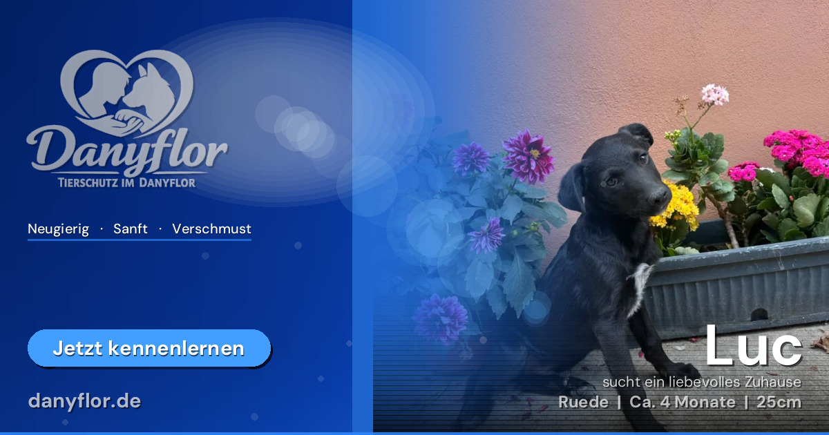 Facebook-Bild für Luc