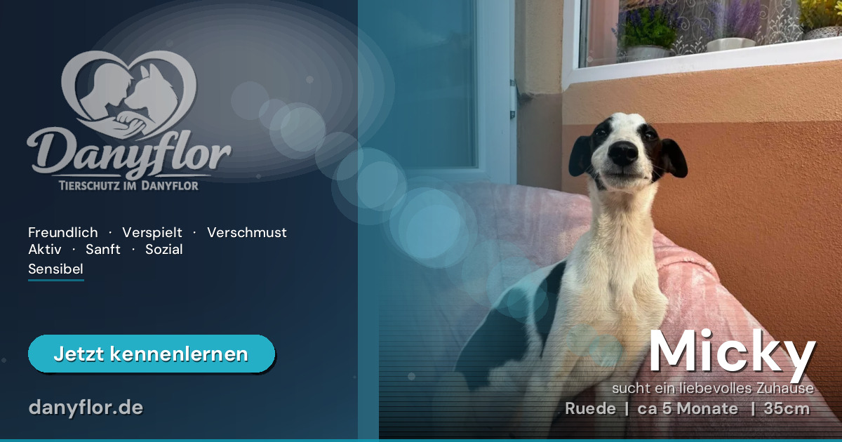 Facebook-Bild für Micky