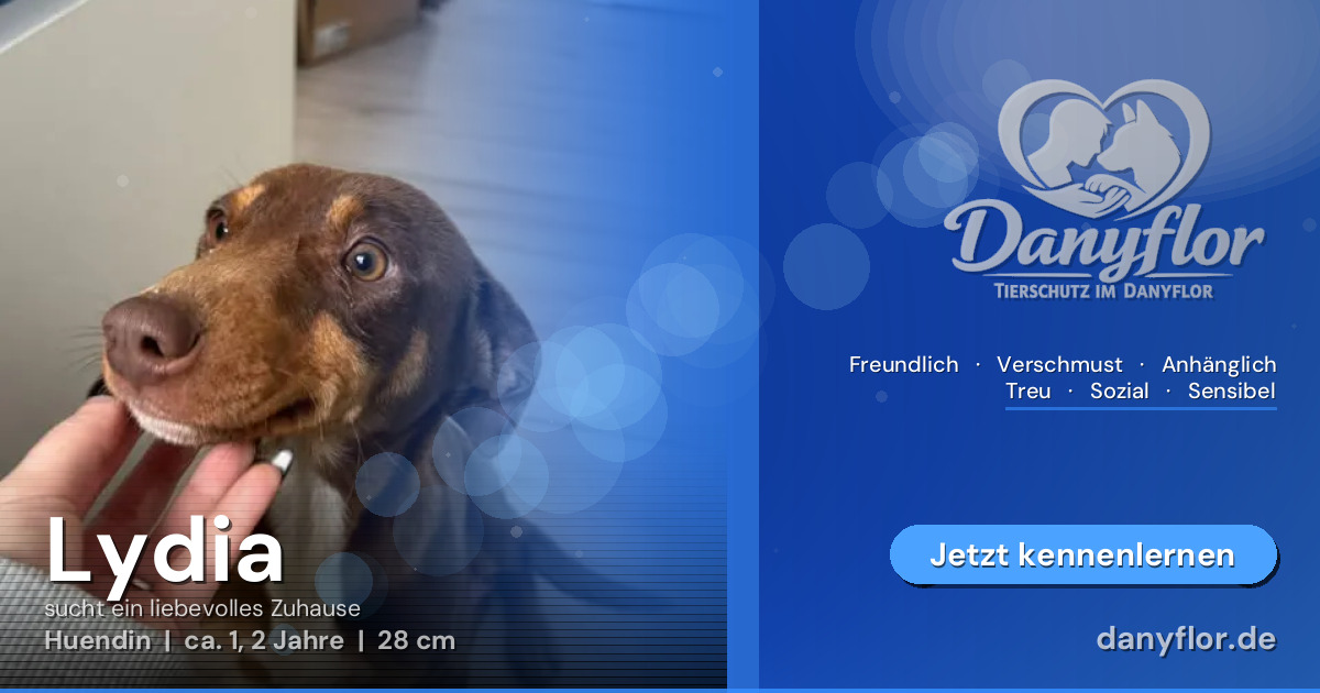 Facebook-Bild für Lydia