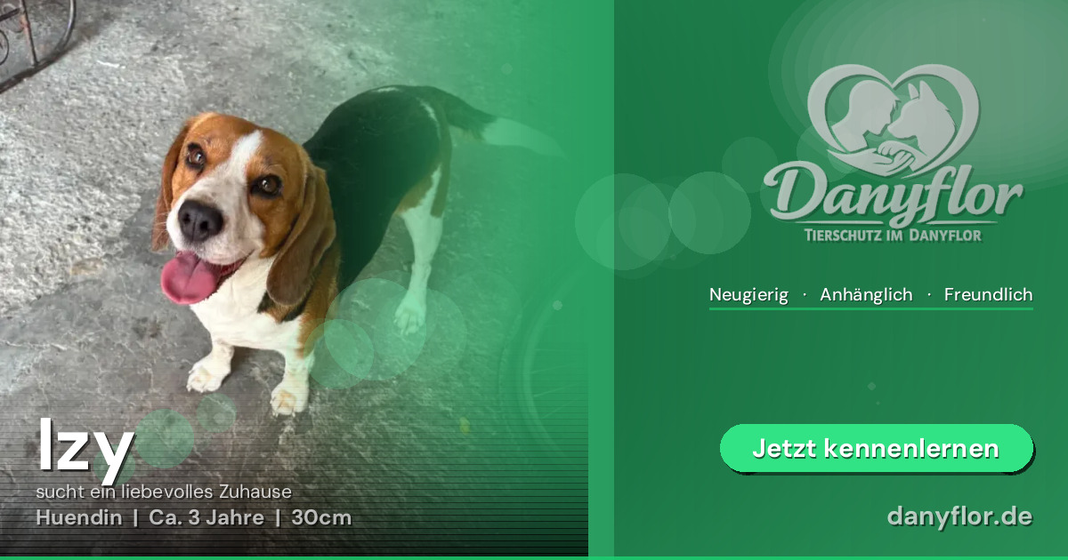 Facebook-Bild für Izy