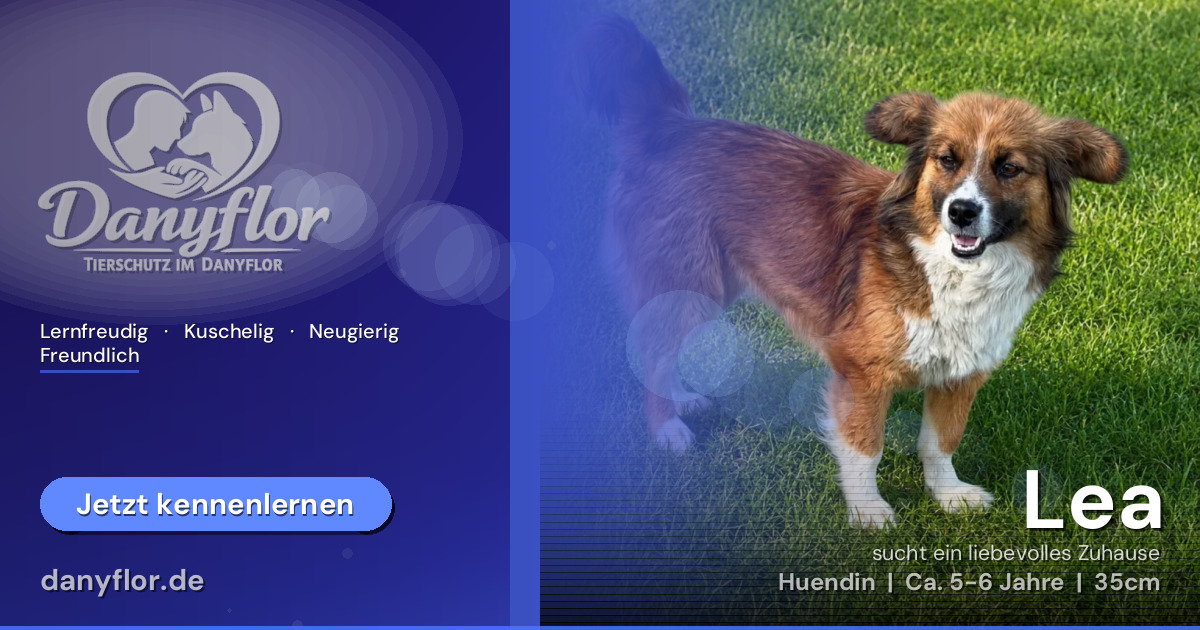 Facebook-Bild für Lea