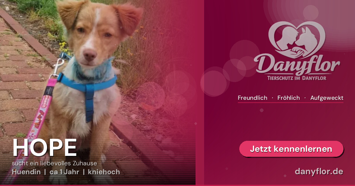 Facebook-Bild für HOPE