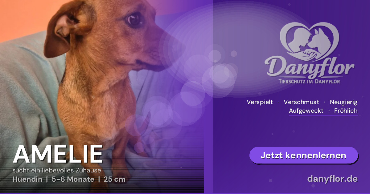 Facebook-Bild für AMELIE