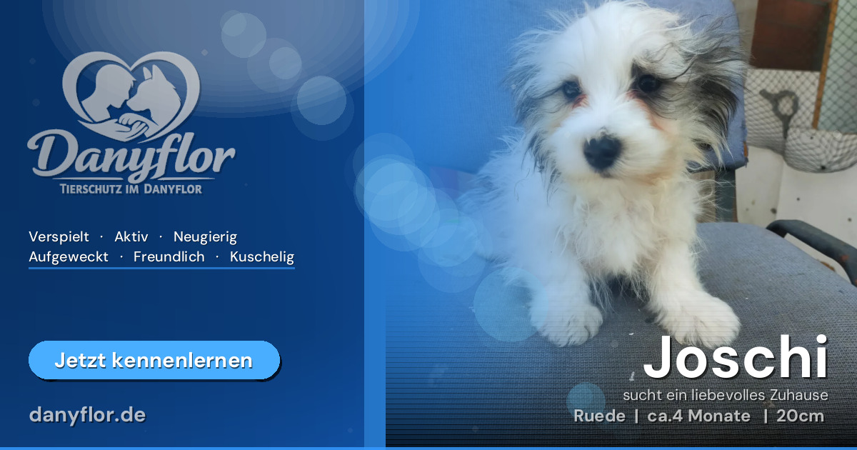 Facebook-Bild für Joschi