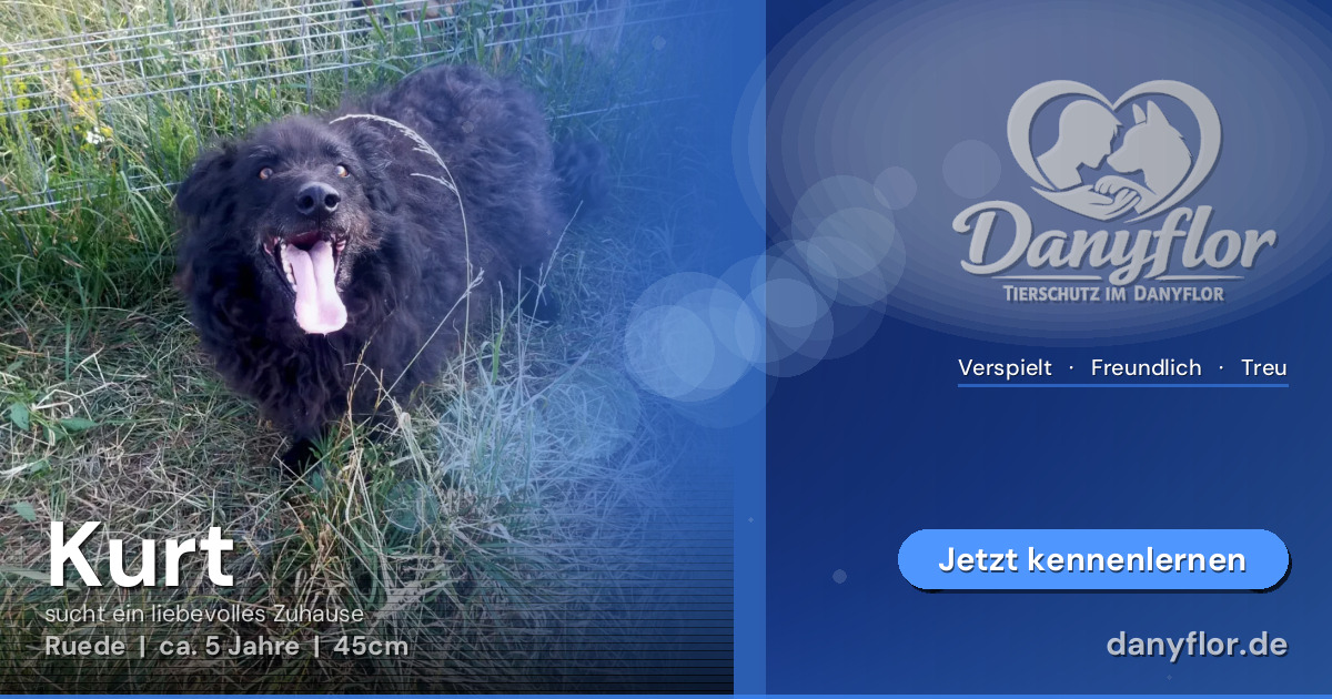 Facebook-Bild für Kurt